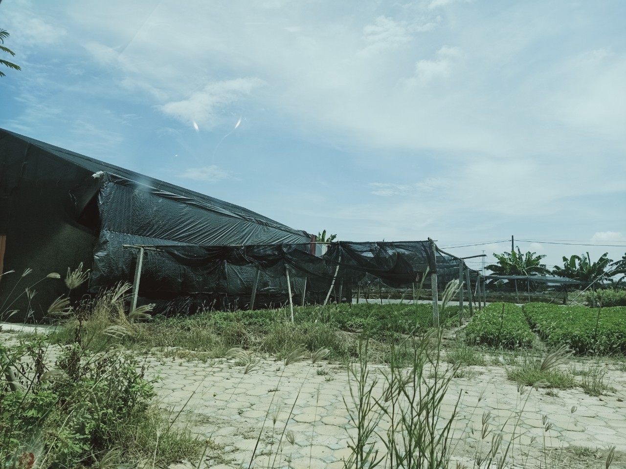 xay-dung-tren-dat-nong-nghiep-5-1628738328.jpg