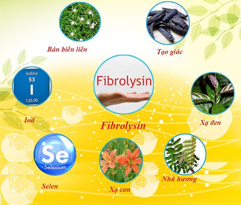 fibrolysin-6-1645410289.png
