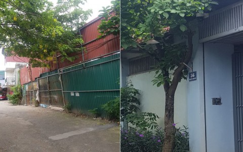 Tứ Liên (Tây Hồ): Nhiều công trình xây dựng trên đất nông nghiệp