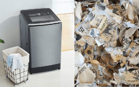 Cho tiền vào máy giặt để diệt khuẩn, gần nửa tỷ đồng trở thành đống giấy vụn