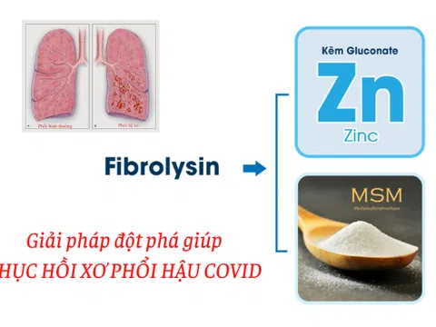 Fibrolysin - Hy vọng mới giúp giảm khó thở, mệt mỏi, ho kéo dài và phục hồi xơ phổi hậu Covid-19