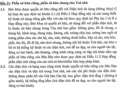 Sự thật về vụ tranh chấp hầm xe tòa nhà chung cư ở Hà Nội