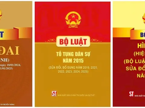 Lấn chiếm đất đai: Xử lý ra sao?