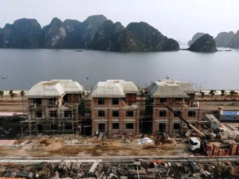 Dự án Green Dragon City (Quảng Ninh): Nhà nước có khả năng bị thất thoát 381,368 tỷ đồng?
